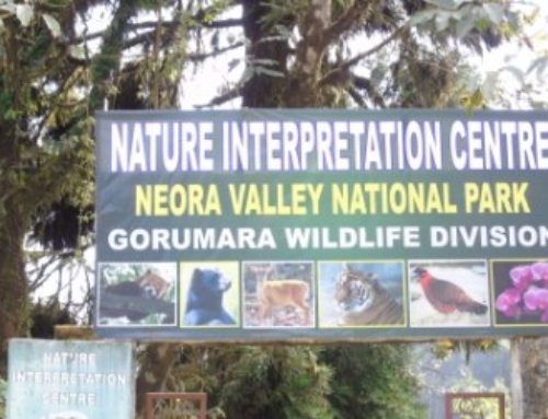 Neora Valley National Park
