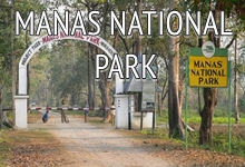 manas_national_park