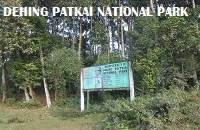 dehing_patkai_national_park_title_home_all